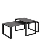 Halden Ceramic Coffee Table Set in Black