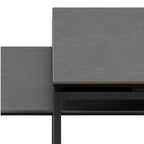 Halden Ceramic Coffee Table Set in Black