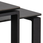 Halden Ceramic Coffee Table Set in Black